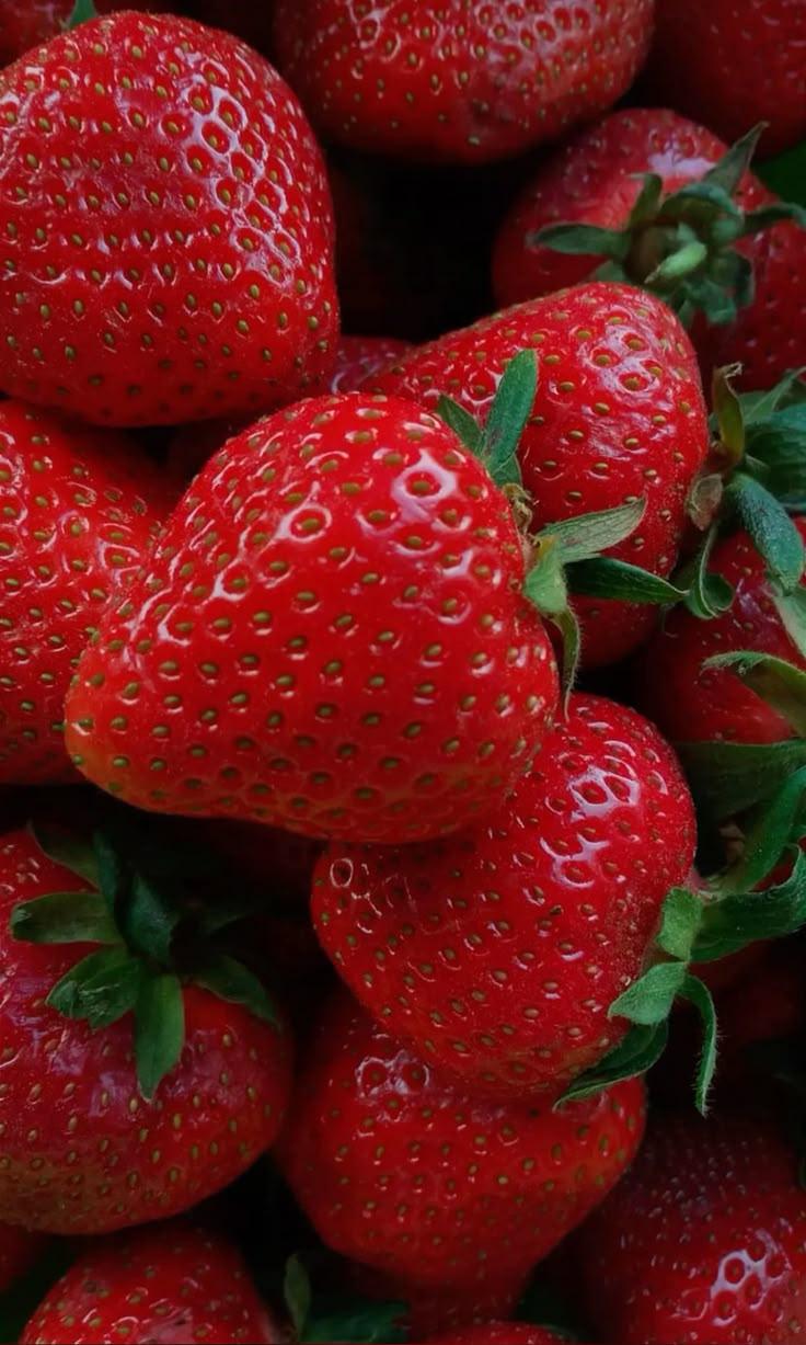 Garden Sensation: Freshly-Picked Variety Box